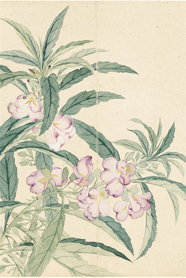 恽寿平的《瓯香馆写生册》 清新洒脱